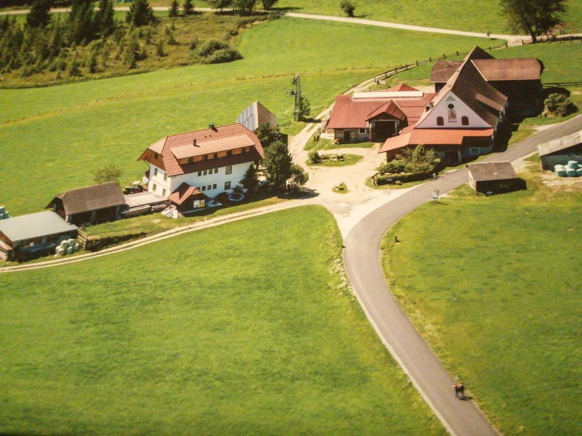 Erholung Am Bauernhof Bei Familie Seidl / Messner Villa Zeutschach Bagian luar foto
