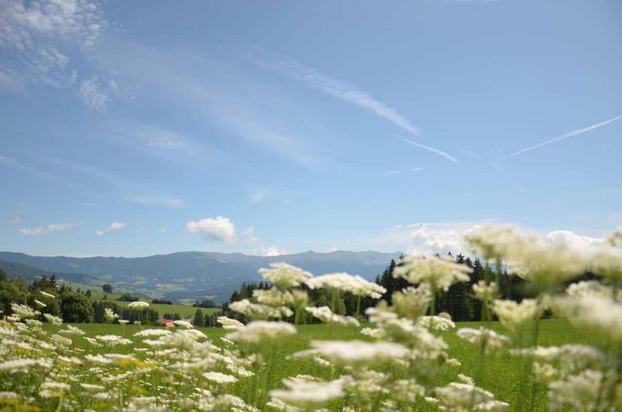 Erholung Am Bauernhof Bei Familie Seidl / Messner Villa Zeutschach Bagian luar foto